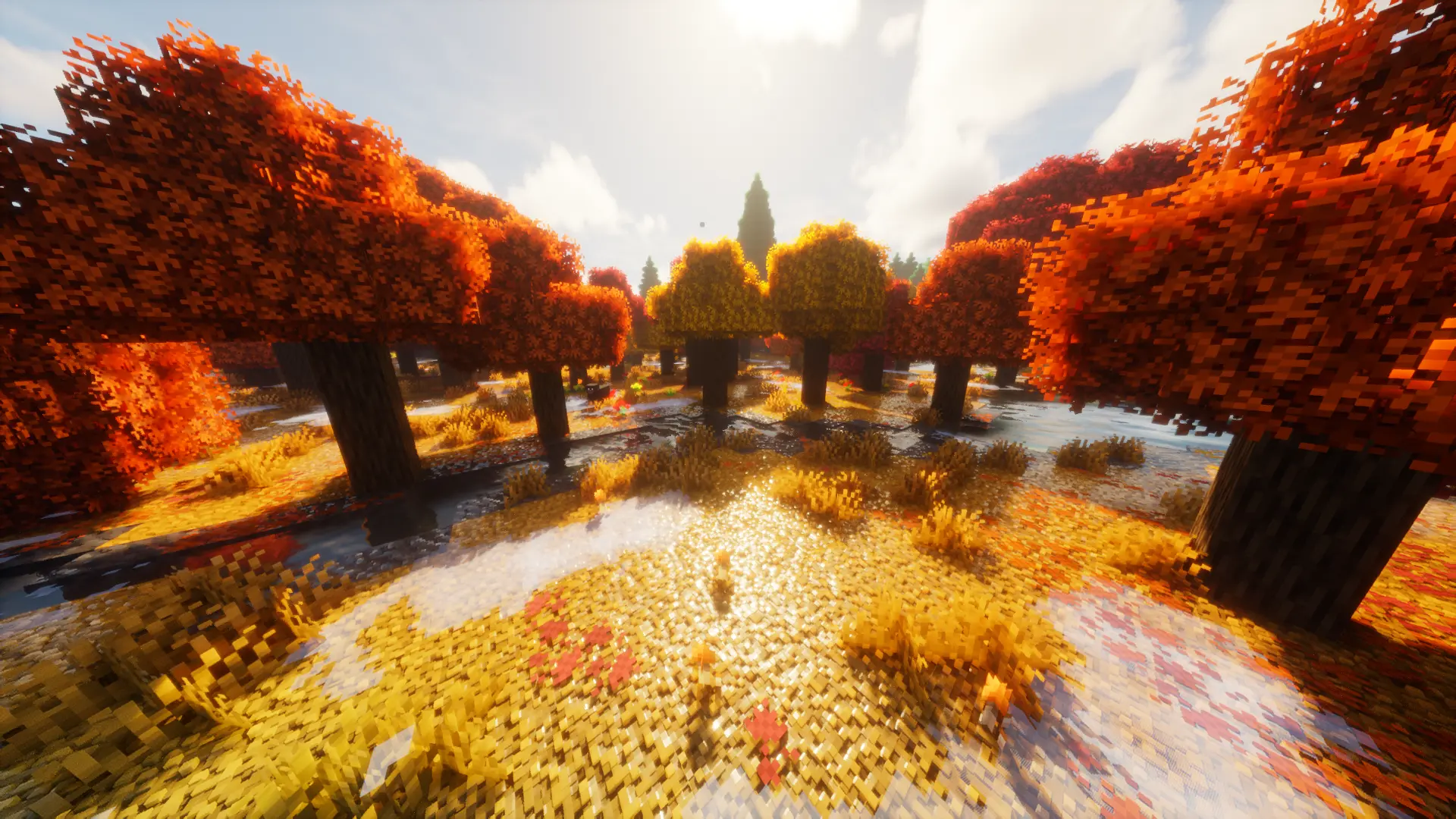 Misty forest trail with soft shadows – Minecraft shaders texture pack | OmniRTX