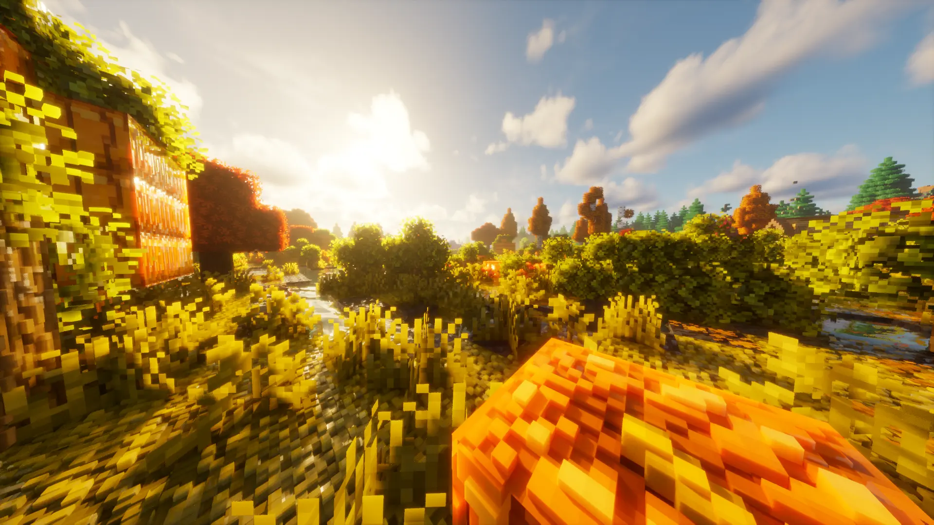 Cozy grass hill with PBR blades – PBR texture pack | OmniRTX